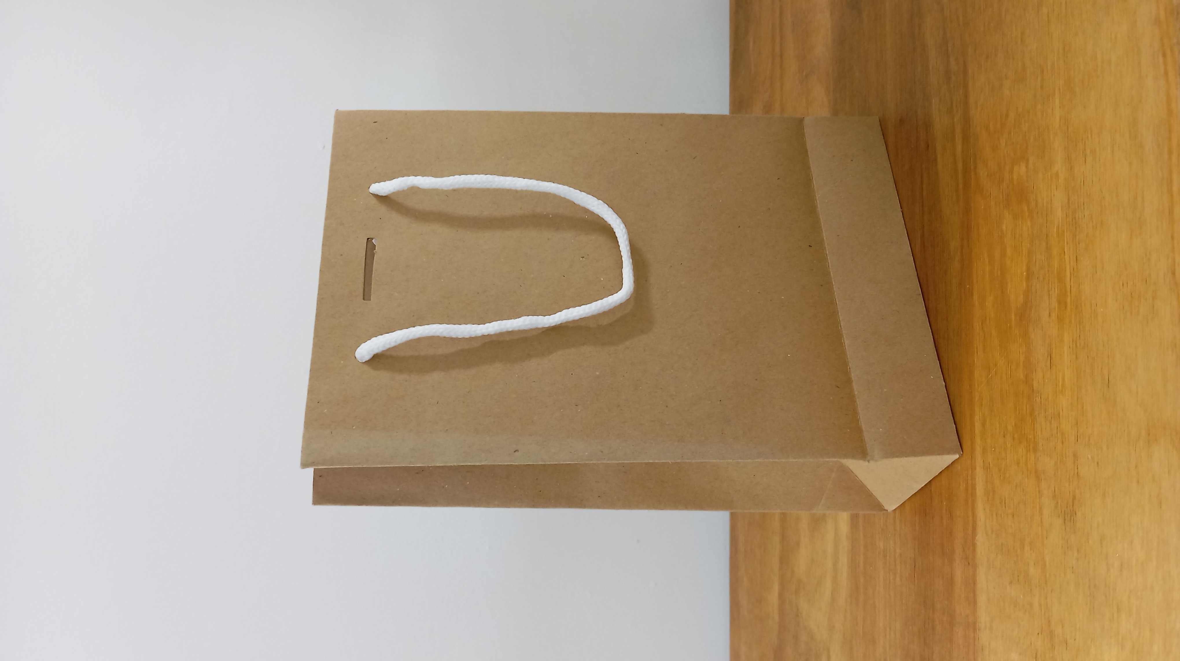 ساک دستی کاغذی