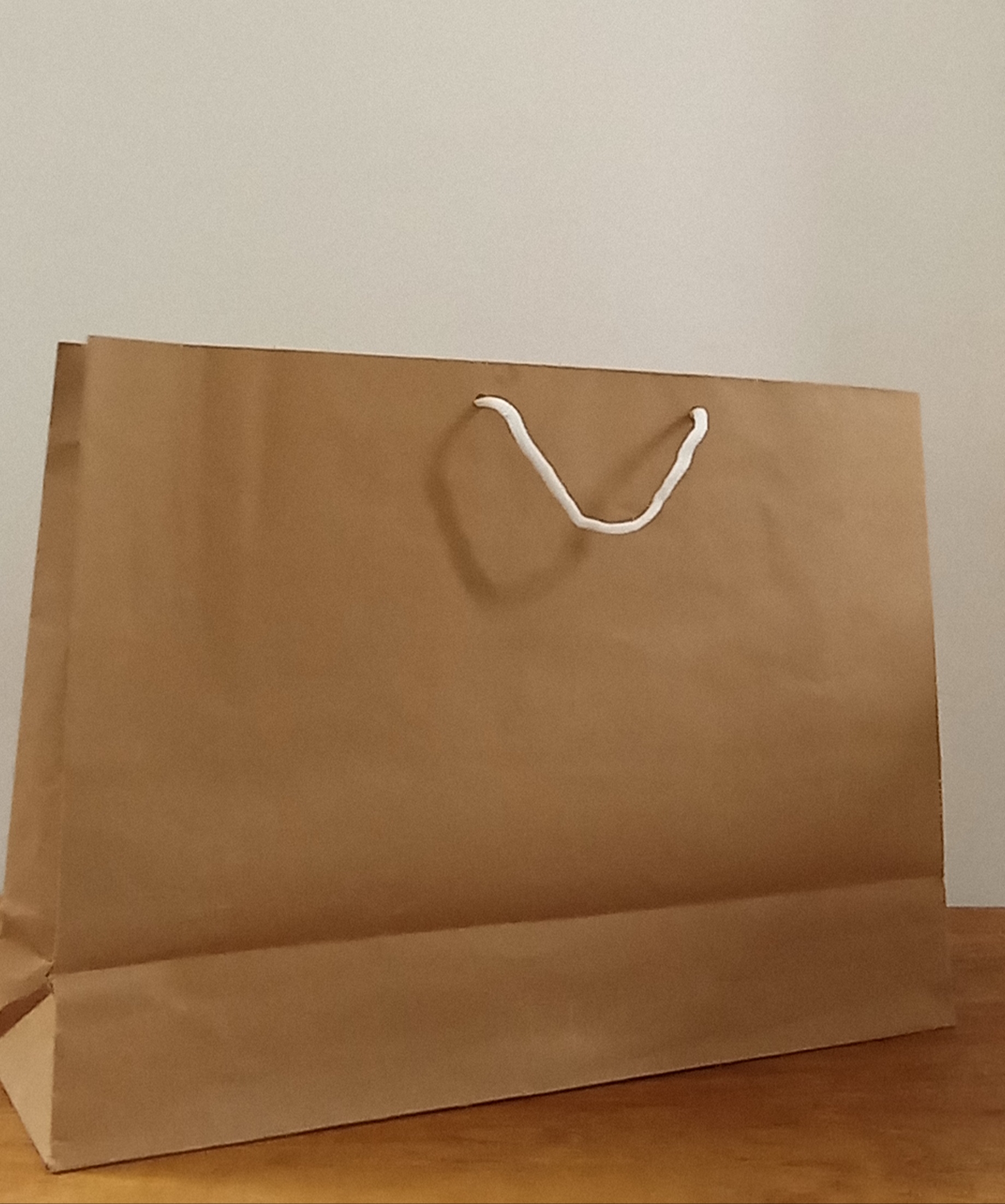 ساک دستی کاغذی