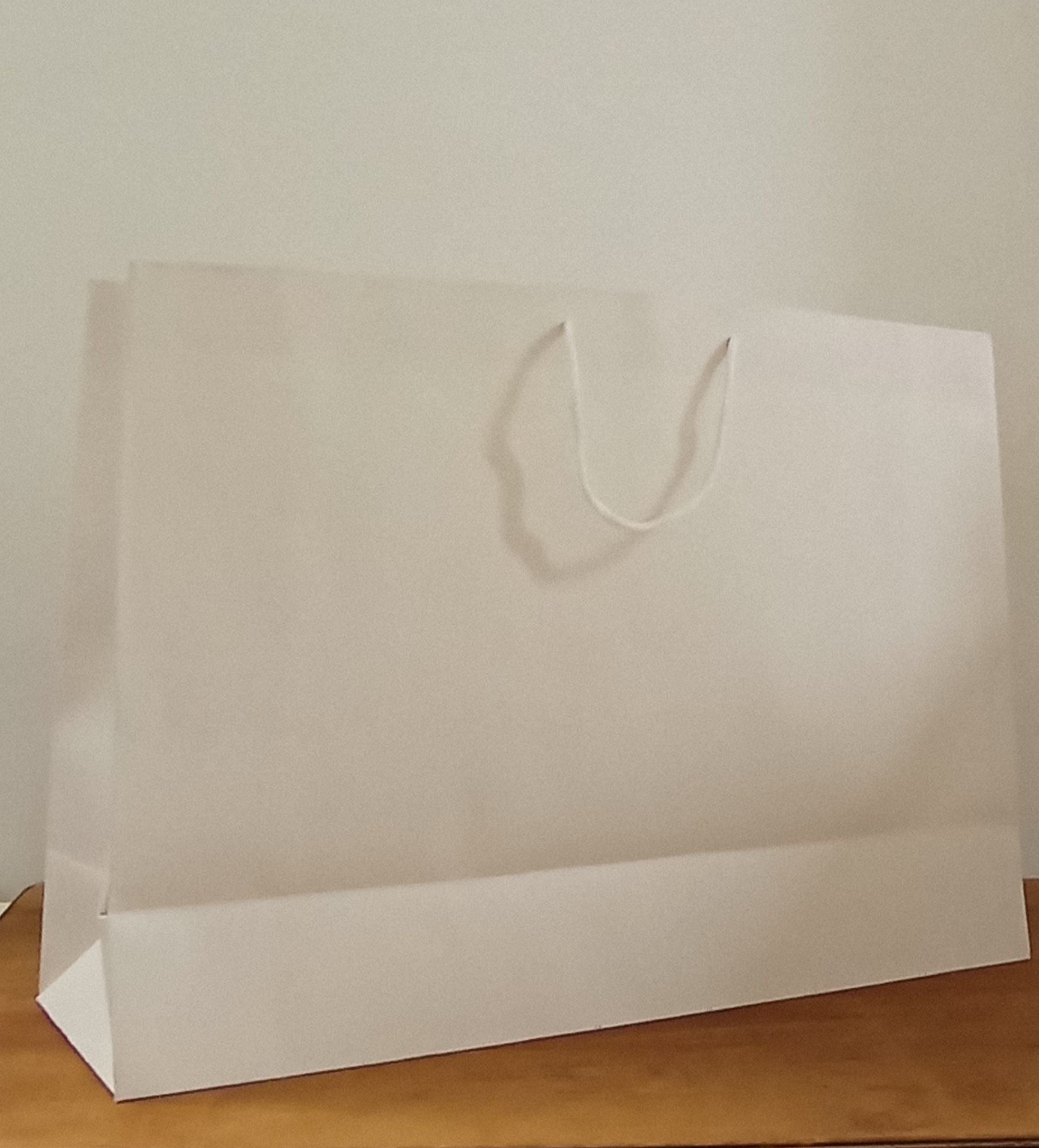 ساک دستی کاغذی